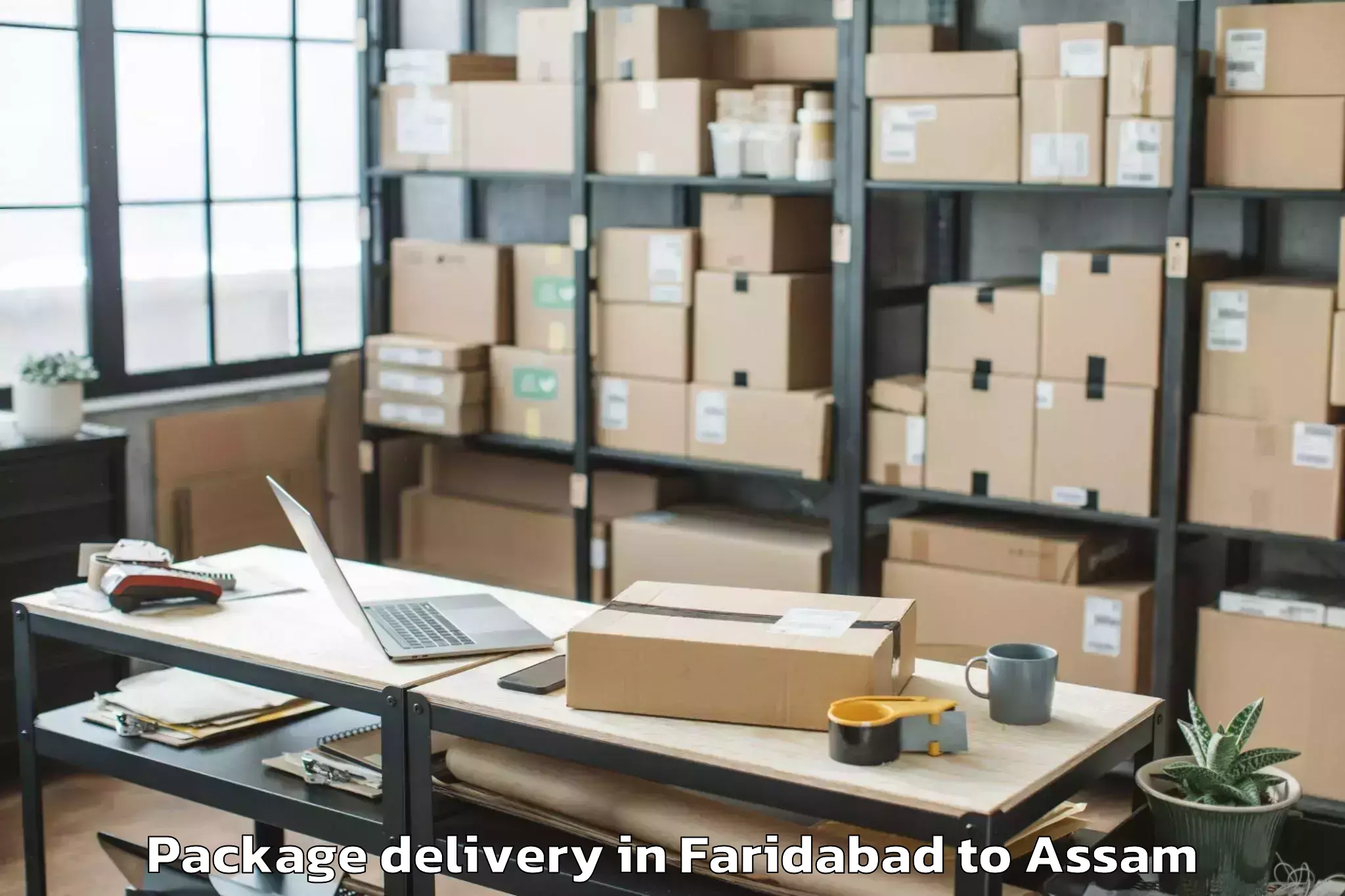 Trusted Faridabad to Moranhat Town Package Delivery